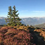 Unterfuchs 斯拉德明