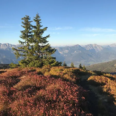 Unterfuchs Schladming