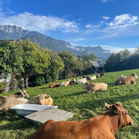 Unterfuchs Apartmán Schladming