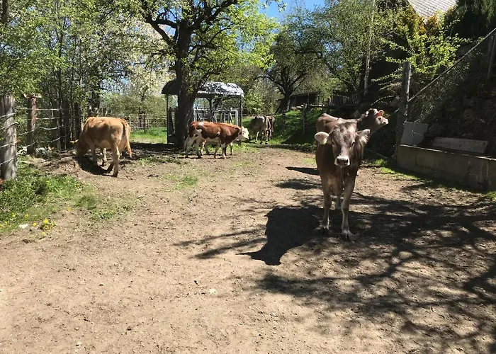 Unterfuchs * 斯拉德明