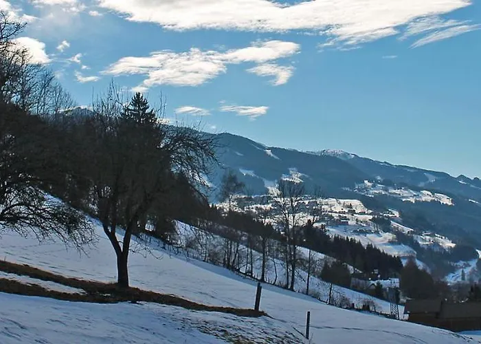 Unterfuchs * 斯拉德明