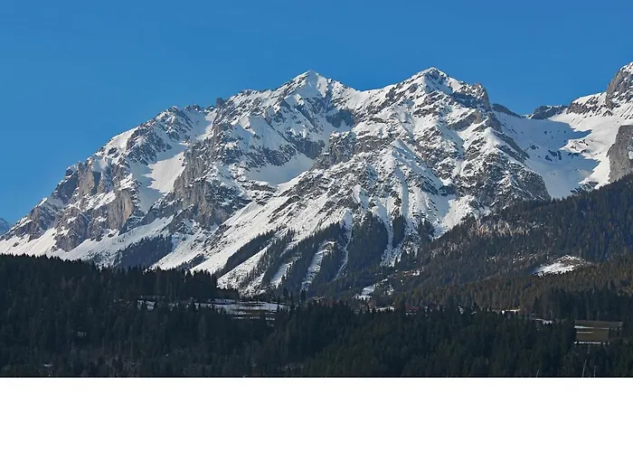 Unterfuchs 斯拉德明