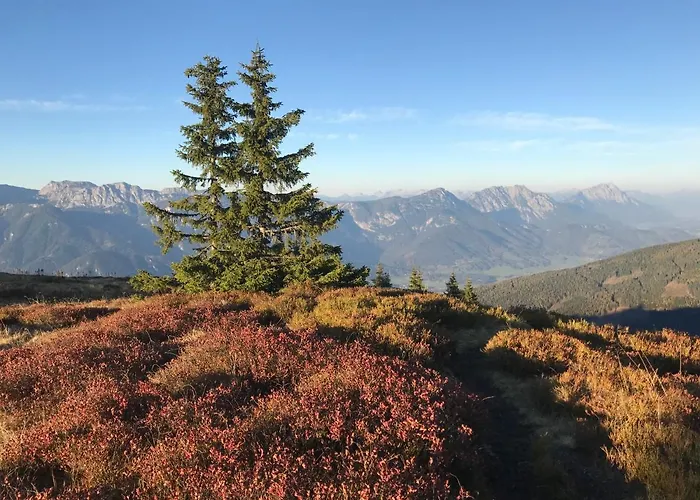 Unterfuchs 斯拉德明